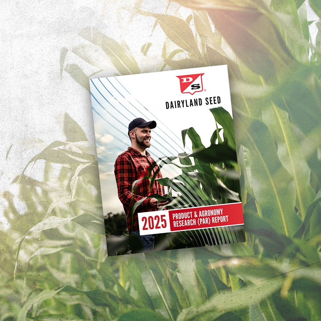 PAR report cover